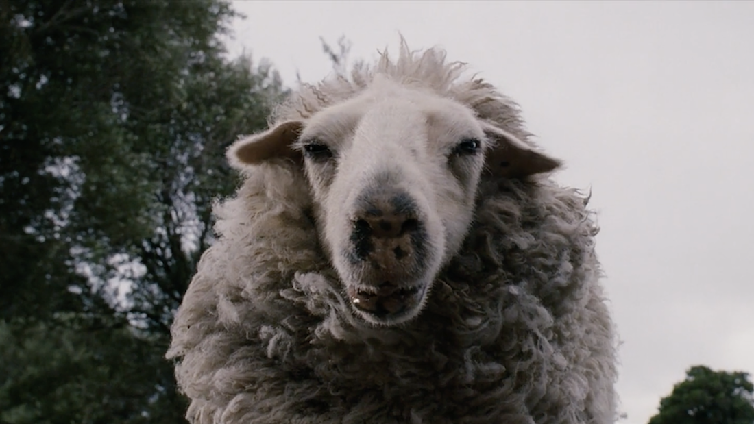 Trailer Trash: BLACK SHEEP (2006) — Neon Splatter